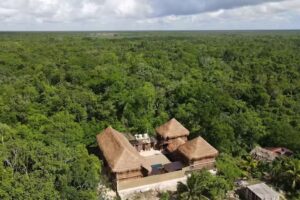 Jungla y Estrellas KAAX EK