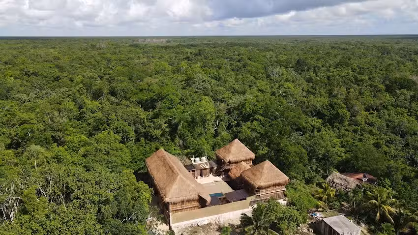 Jungla y Estrellas KAAX EK