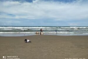 La Bajada de los Pinos