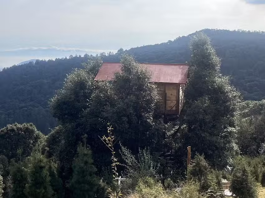 La Caba&ntilde;a