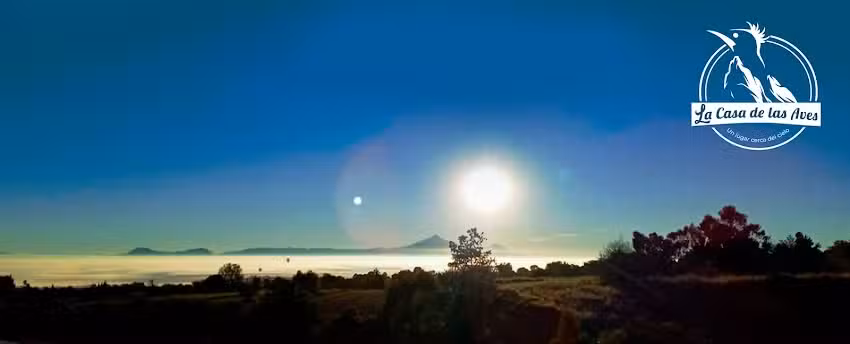 La Casa de las Aves