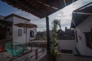 La Casa de los Olivos