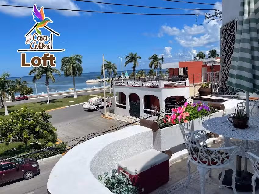 La casa del colibr&iacute;