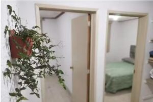 La Casa del Oso Quer&eacute;taro