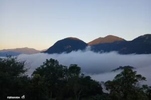 La ceiba Chapulhuacan hidalgo