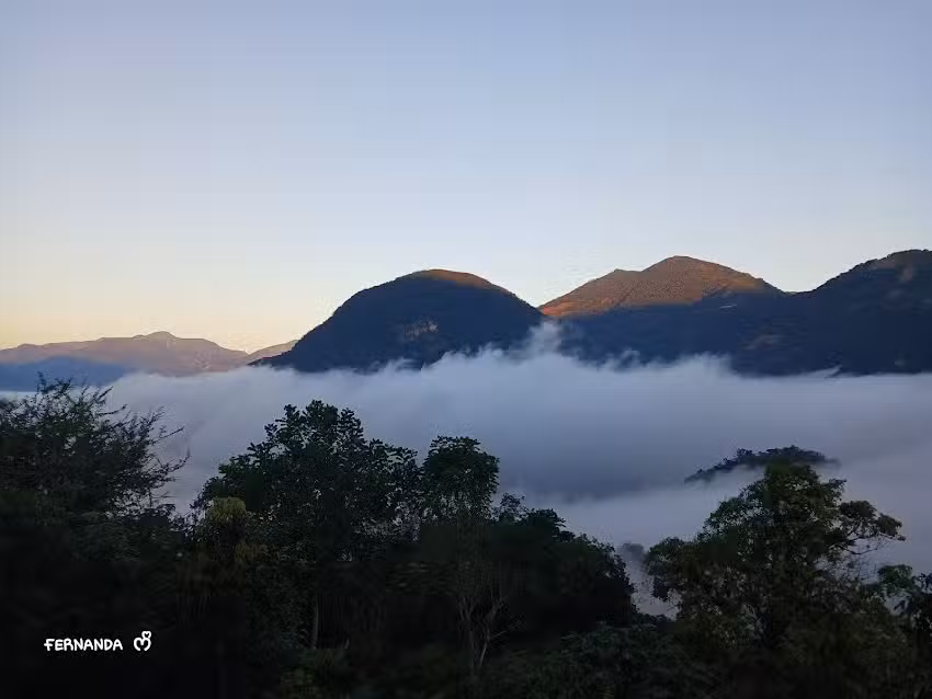 La ceiba Chapulhuacan hidalgo