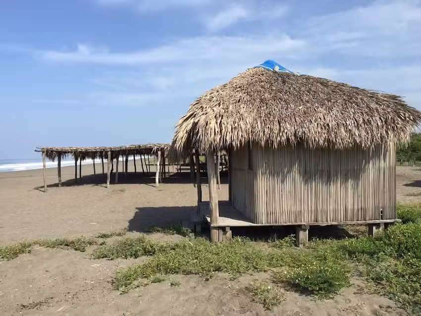 LA CEIBA DE MANGUITO