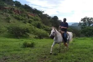 La Junta de Gohocopa