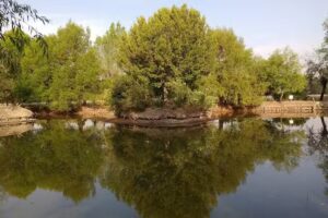 Laguna Suites Puebla