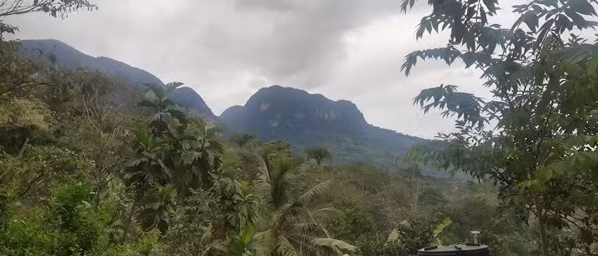 Las Caba&ntilde;as Arroyo Zapotillo