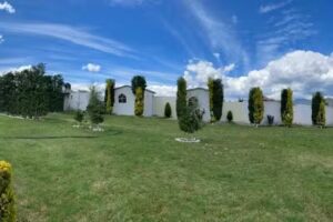 LAS CABA&Ntilde;AS DEL ABUELO