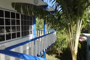 Las Palapas de punta allen