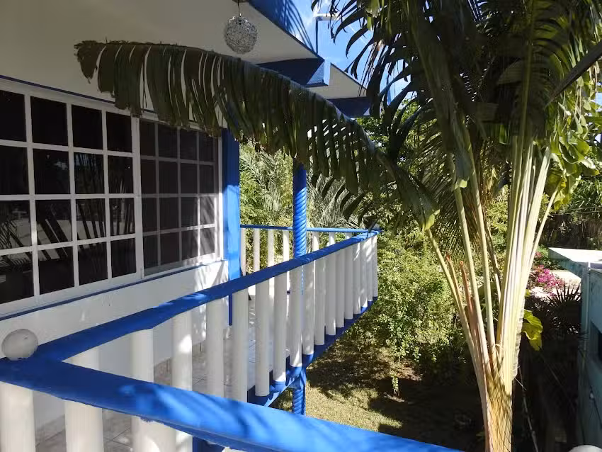 Las Palapas de punta allen