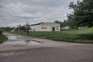 Las v&iacute;boras San Luis Potos&iacute;