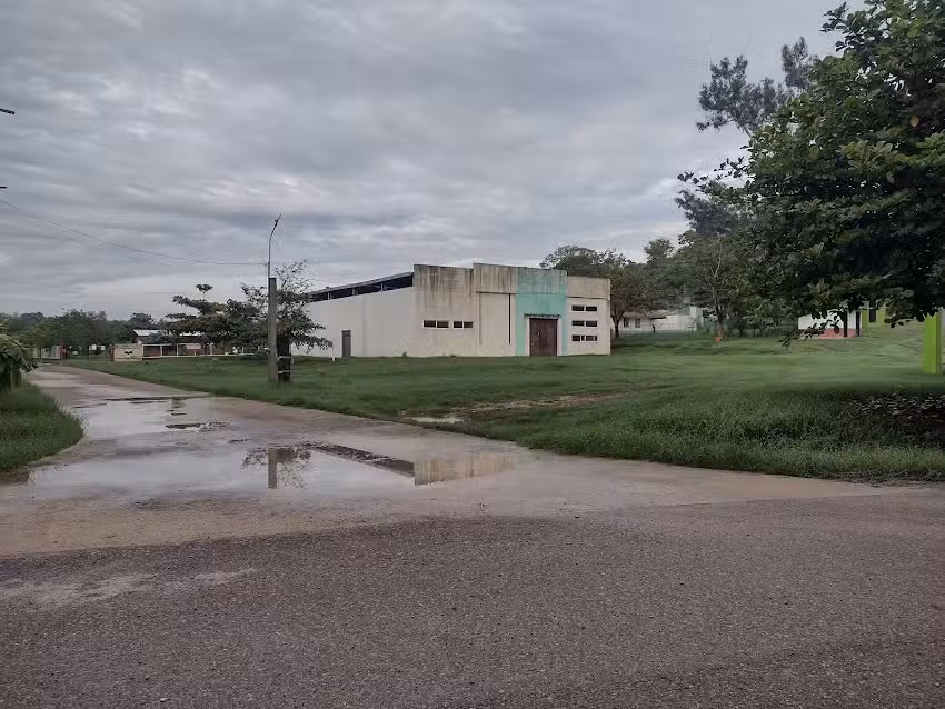 Las v&iacute;boras San Luis Potos&iacute;