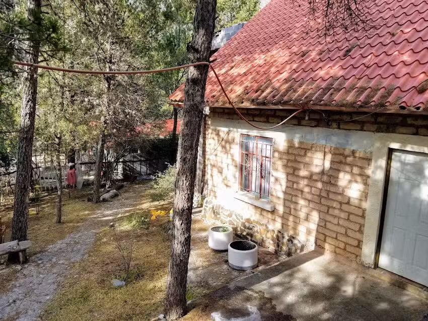 Lion&rsquo;s King Cabin Woods