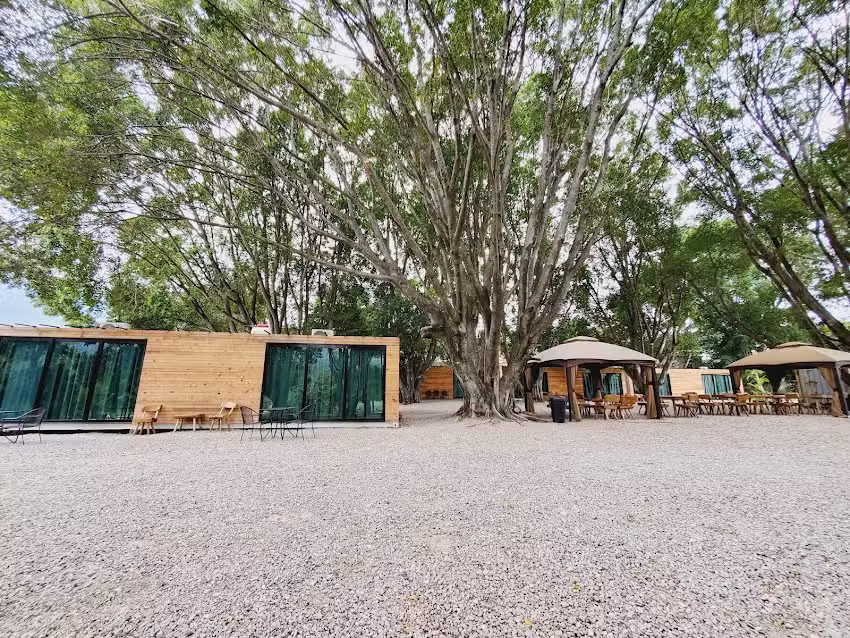 Los Laureles Hotel Contemporaneo