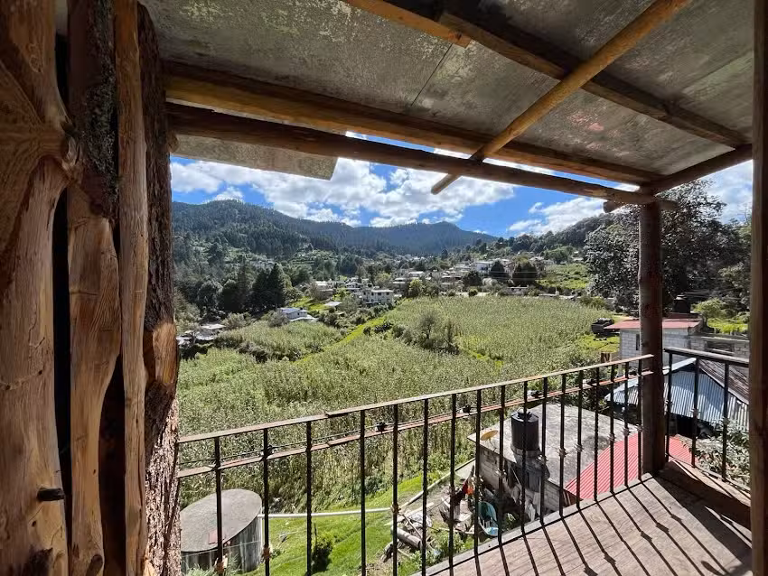 Los pinos caba&ntilde;as