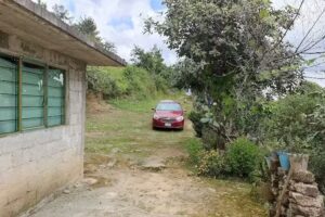 Los pocitos chila de juarez honey puebla