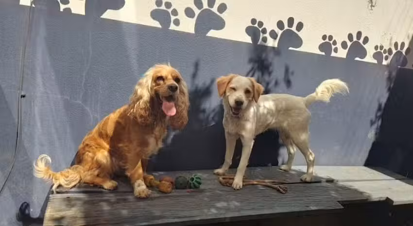 Lovet Hotel Amados Como En Casa