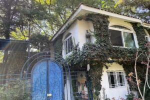 Magnolias Jardin & Boutique Suites