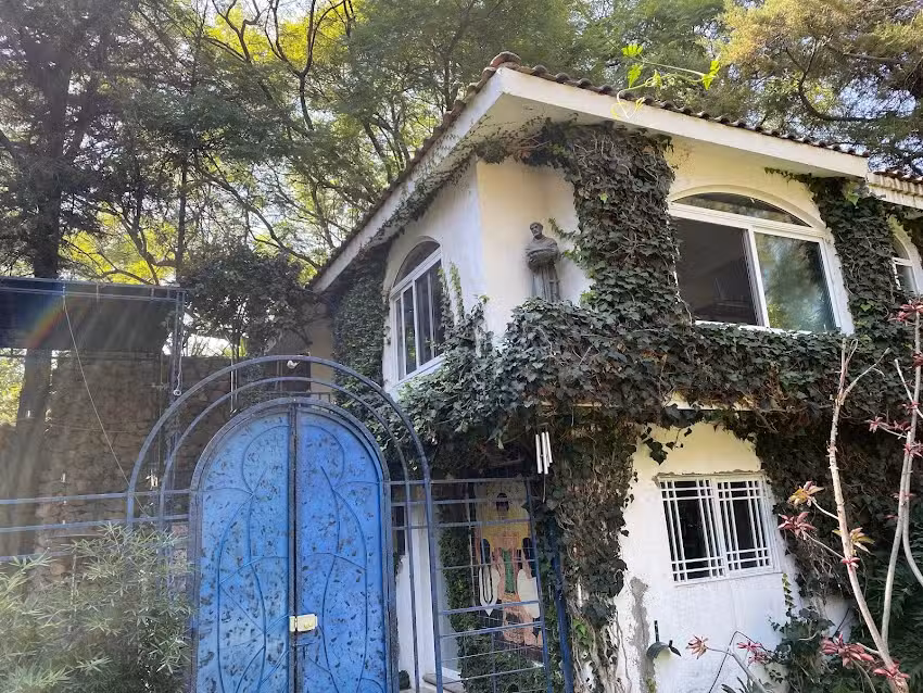 Magnolias Jardin & Boutique Suites