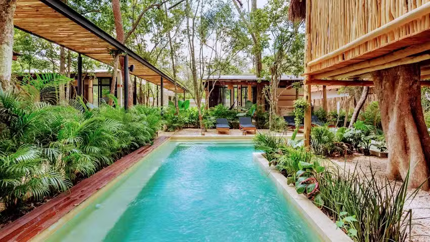 Mayur Tulum