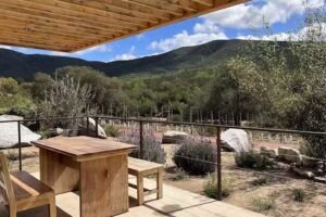 M&eacute;xico en la piel