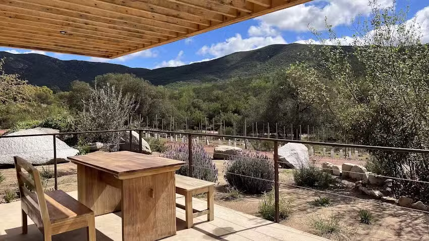 M&eacute;xico en la piel