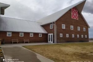 Mi Lindo Chihuahua Hotel