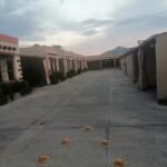 MOTEL CACTUS