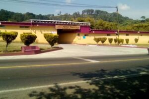 Motel Flamingo
