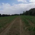 Motel Los Angeles