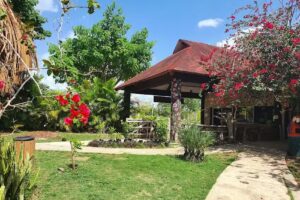 Natural Reserve-Yucatan Silvestre