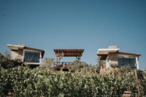 Oasis 444 Hotel Boutique