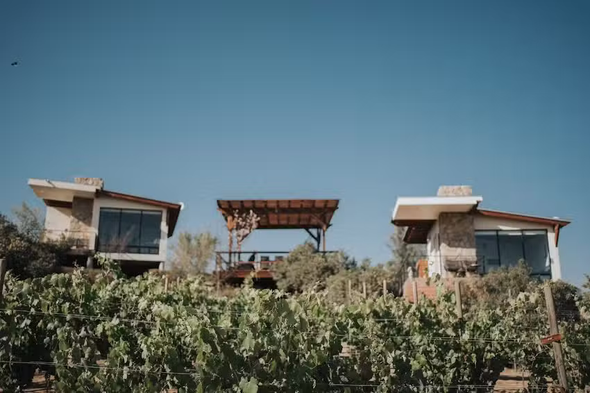 Oasis 444 Hotel Boutique