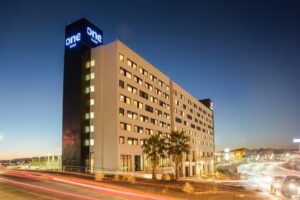 one Chihuahua Fashion Mall