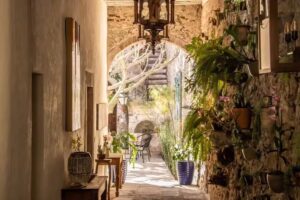 Orchid House San Miguel de Allende