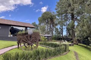 Org&aacute;nico Hotel Boutique