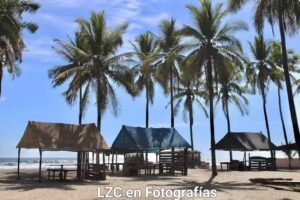 Palapas Camping Club