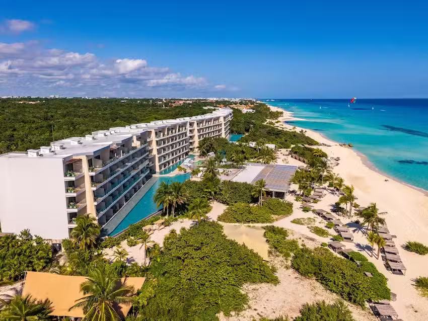 Palma&iuml;a, The House of A&iuml;A