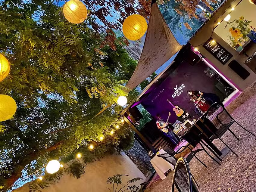 Palmas Altas Retreat