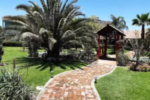 Palmas Teotihuac&aacute;n