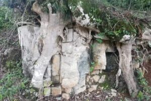 Paso de macho, Veracruz