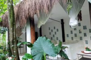 Piedra de Agua Hotel Boutique & SPA Palenque