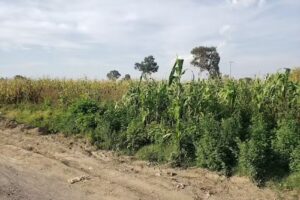 Posada La Caba&ntilde;a