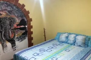 Posada las Jacarandas