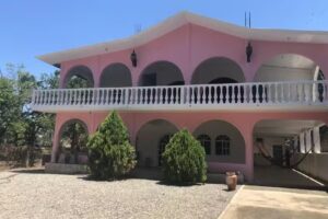 Posada los tulipanes