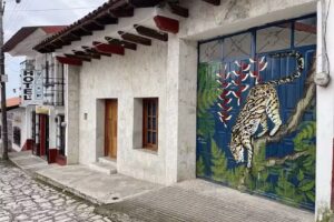 Posada Ocelote Cuetzalan