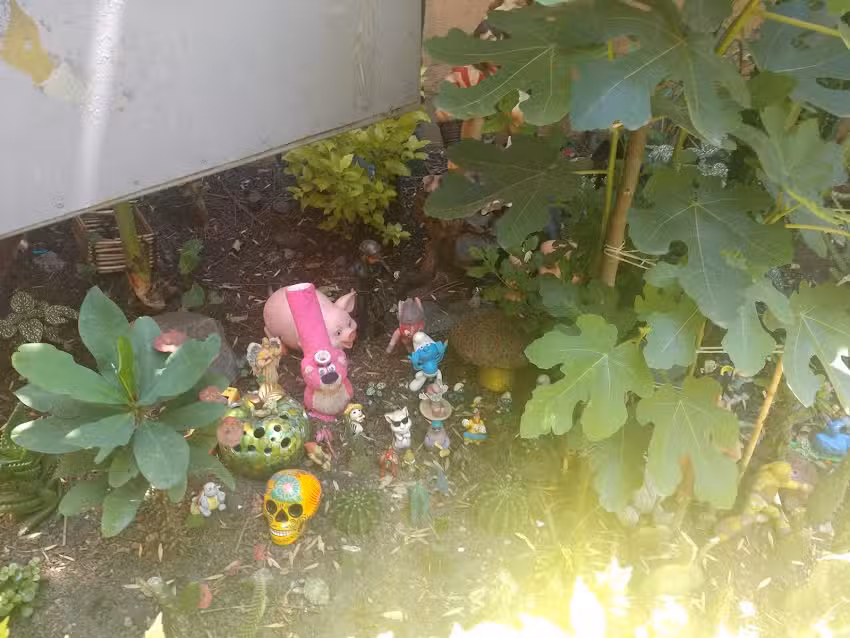 Progreso Coyoac&aacute;n